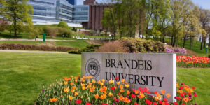 布兰迪斯大学 Brandeis University