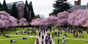 华盛顿大学 University of Washington-Seattle Campus