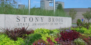 纽约州立大学石溪分校 Stony Brook University