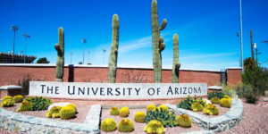 亚利桑那大学 University of Arizona